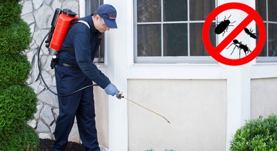 Ilgaz Dezenfeksiyon böcek ilaçlama ve haşere kontrolü — ilaclama-tr.com